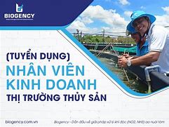 Công Ty Thủy Sản Thuận Phước Tuyển Dụng 2023 Facebook