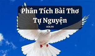 Lời Giới Thiệu Bài Hát Tự Nguyện