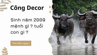 Sinh Năm 2009 Bao Nhiêu Tuổi 2023