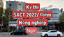 Xkld Mỹ 2022 Cần Những Gì Ạ Tiếng Hàn Quốc Là Gì Ạ